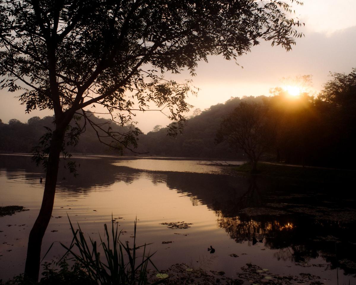 A barefoot monk in orange robes standing in quiet contemplation at the edge of the mirror-still lake