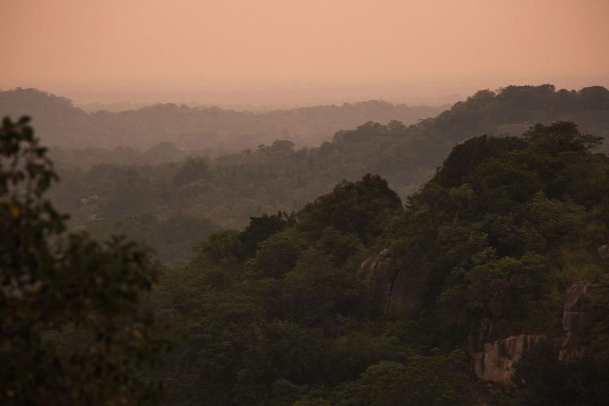 Layers of jungle canopy and granite outcrops fading into warm pink haze at dusk, seen from a hilltop above Ulpotha