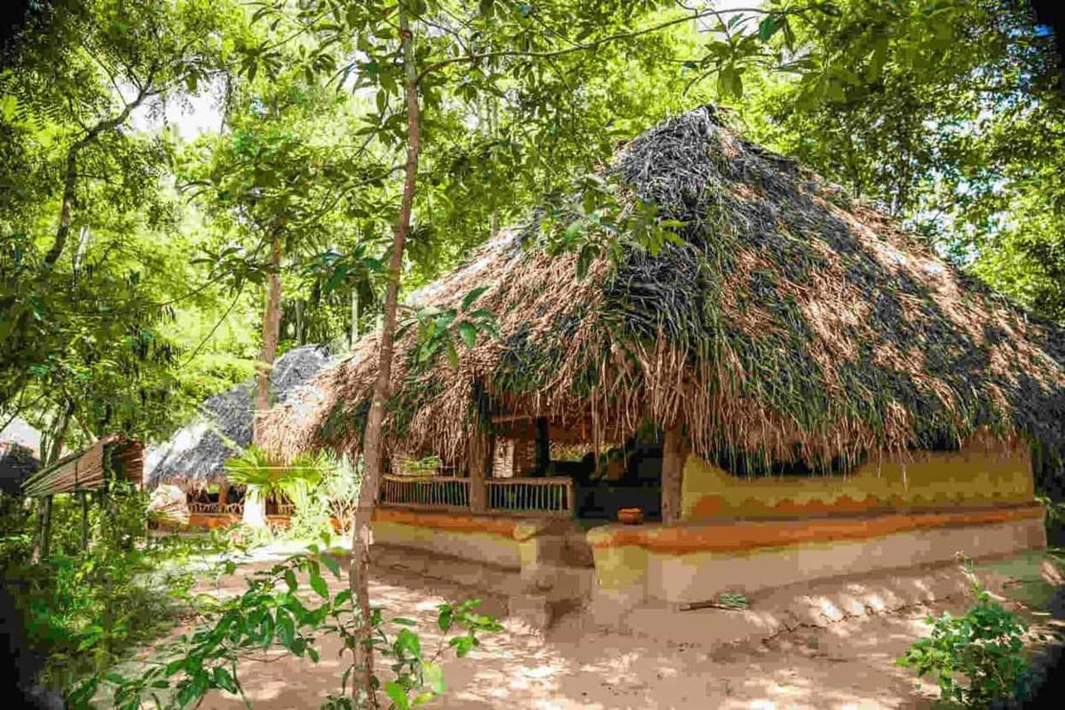 A traditional wattle-and-daub hut with a deep shaggy thatch roof and ochre-painted low walls, embedded in jungle greenery