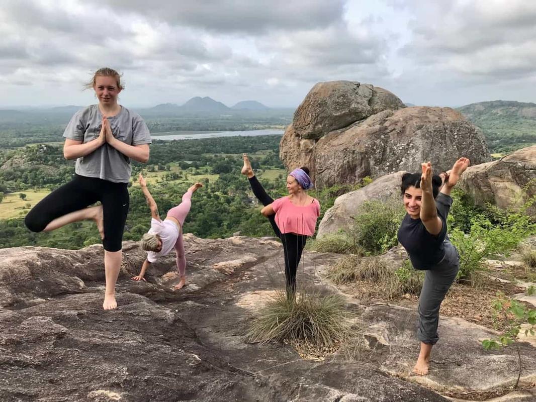Guests in tree and dancer poses on a granite outcrop, the plain and a lake far below
