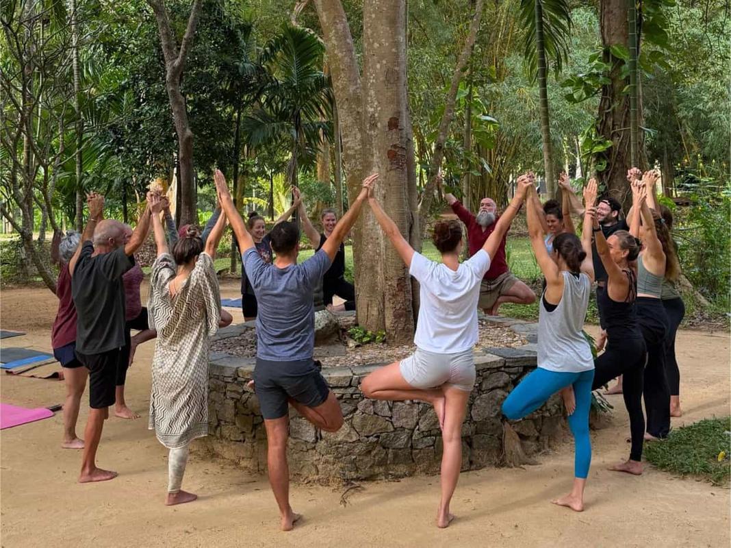 Guests in tree pose in a circle around a tree, hands joined overhead