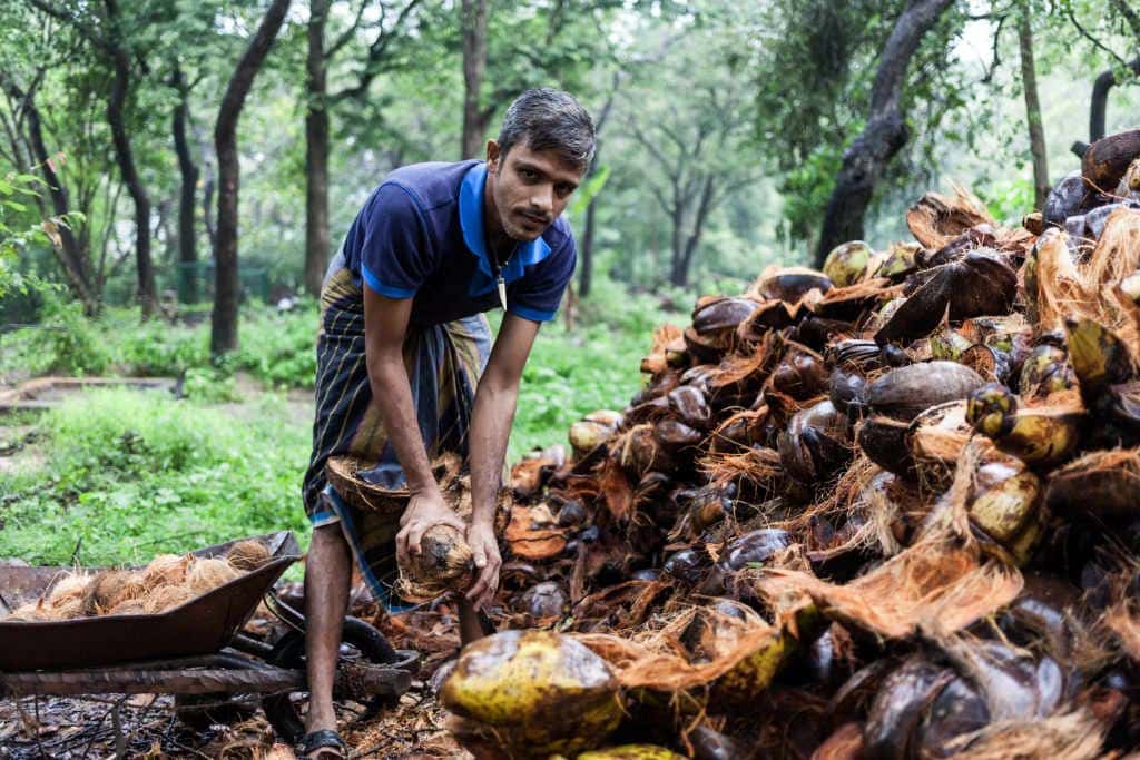 Villagers working on the land