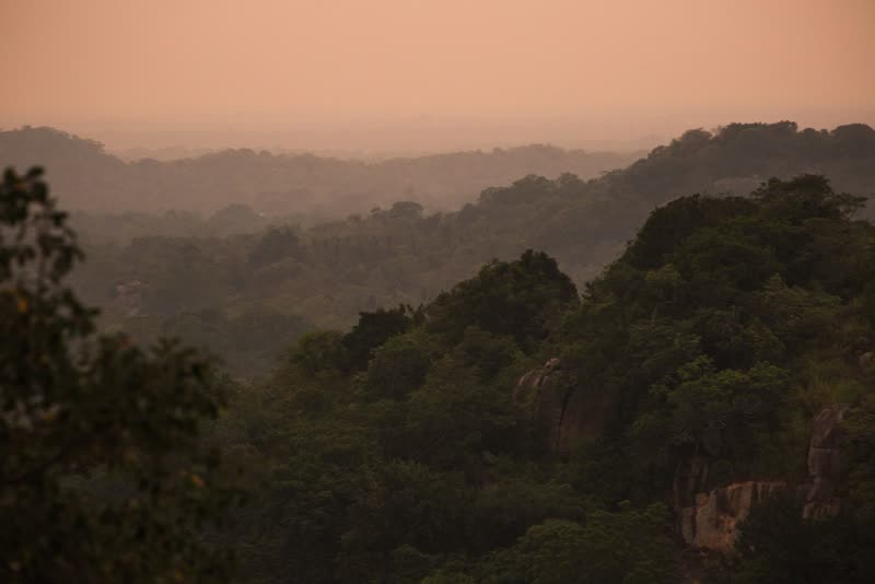 Layers of jungle canopy and granite outcrops fading into warm pink haze at dusk, seen from a hilltop.