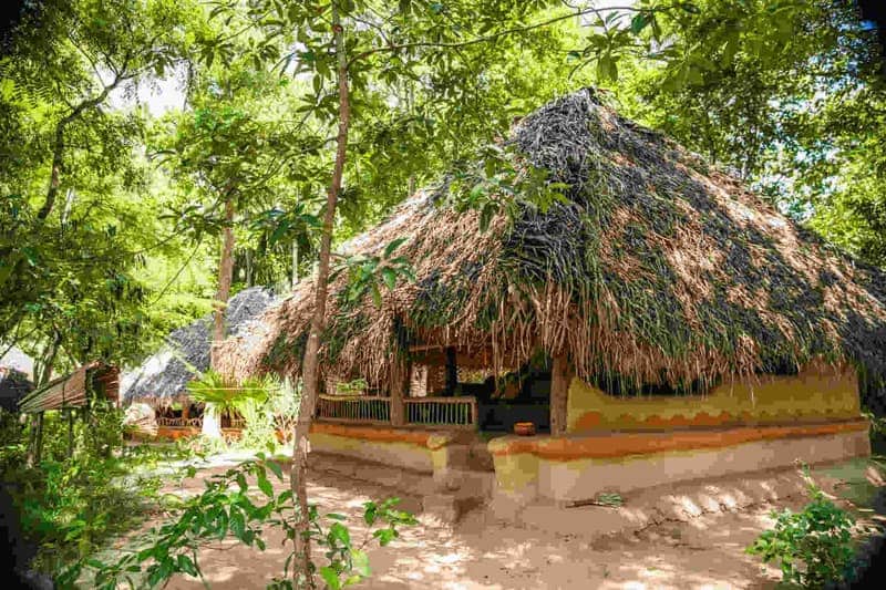 A traditional wattle-and-daub hut with a deep shaggy thatch roof and ochre-painted low walls, embedded in jungle greenery
